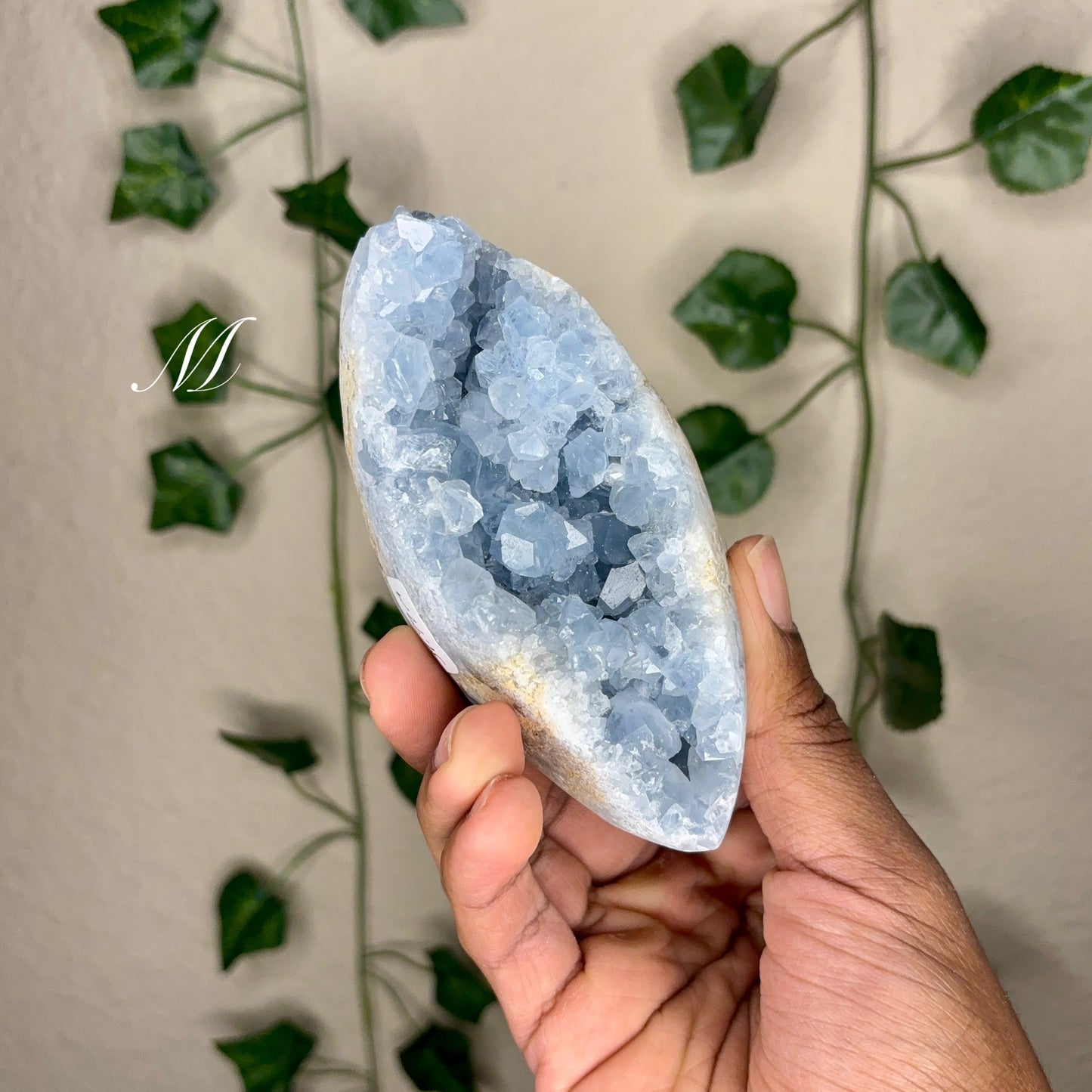 Celestite Clusters