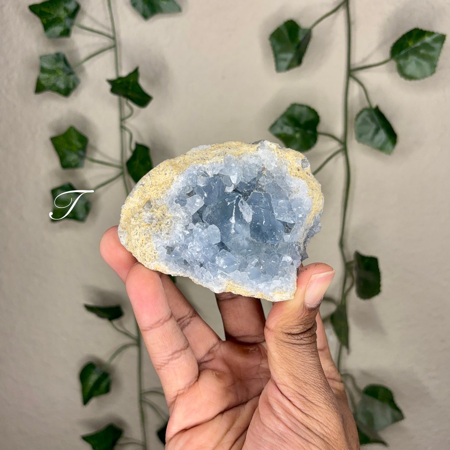 Celestite Clusters