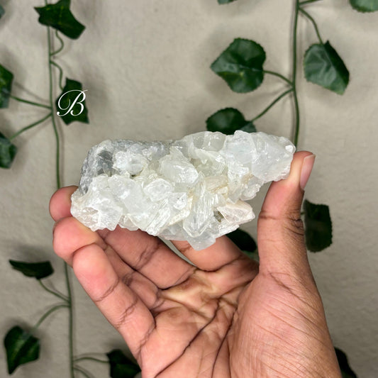 Apophyllite Clusters