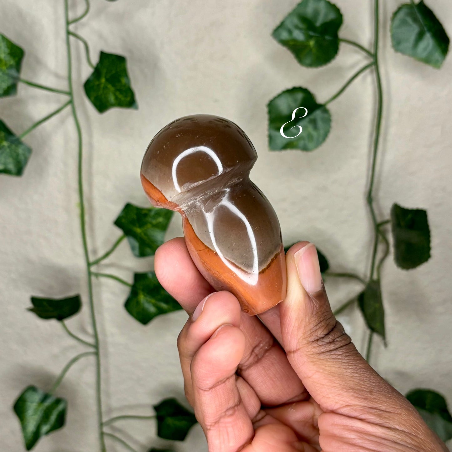 Polychrome Jasper Mushrooms