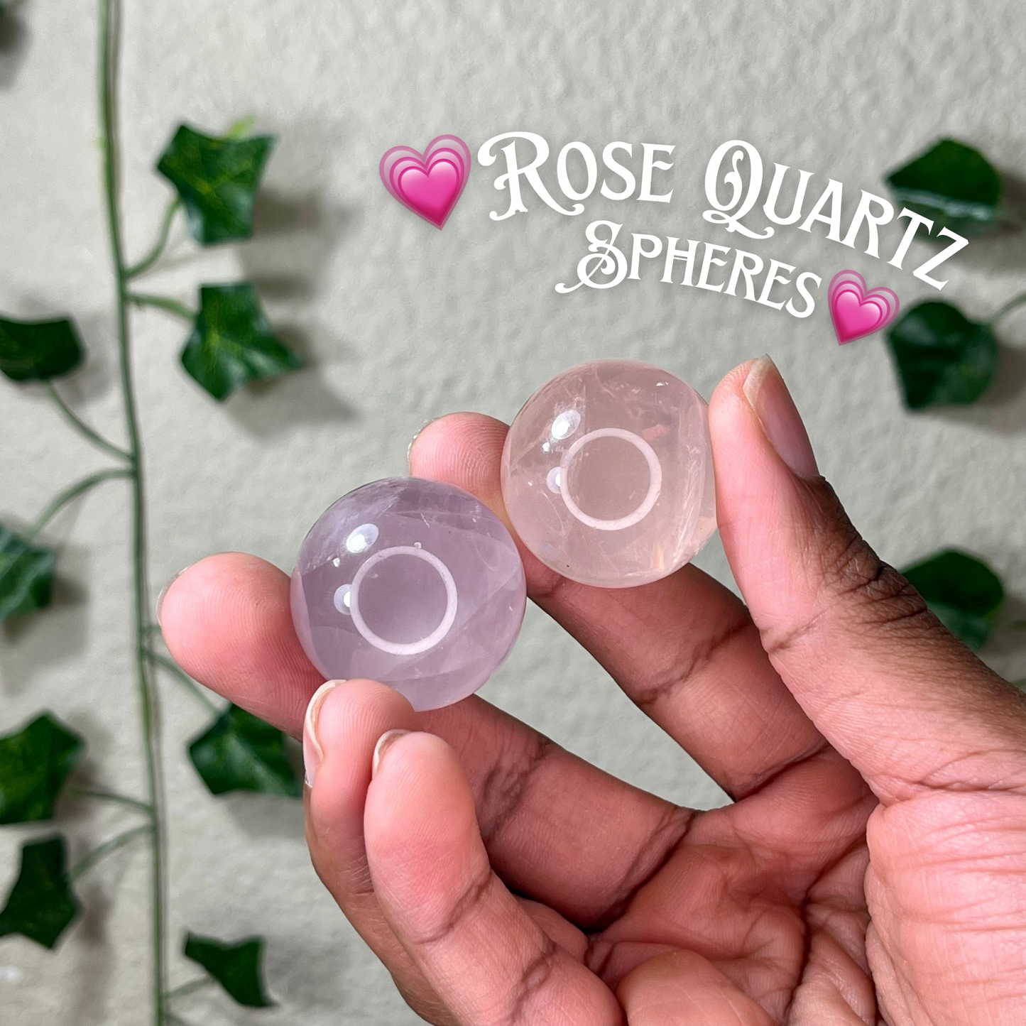 Mini Star Rose Spheres