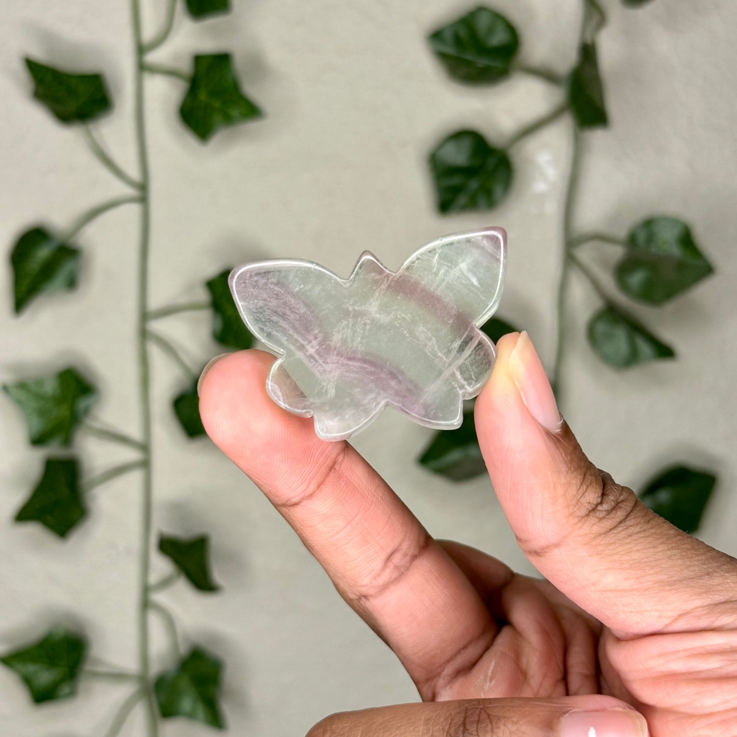 Candy Fluorite Butterflies