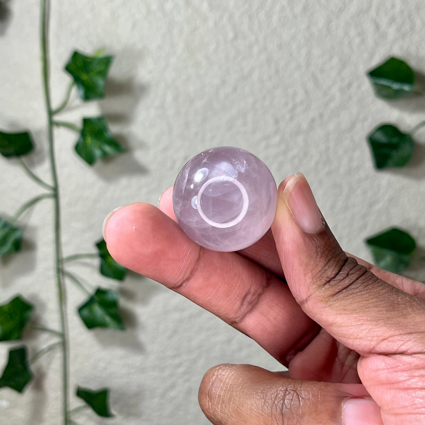 Mini Star Rose Spheres