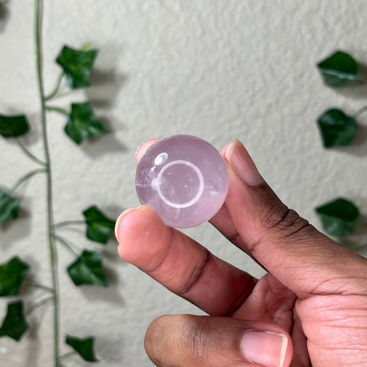 Mini Star Rose Spheres