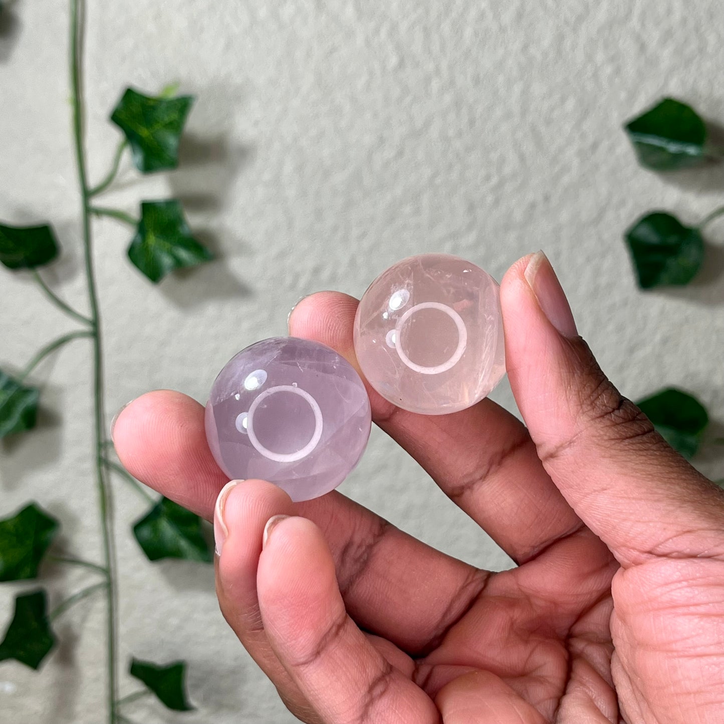 Mini Star Rose Spheres