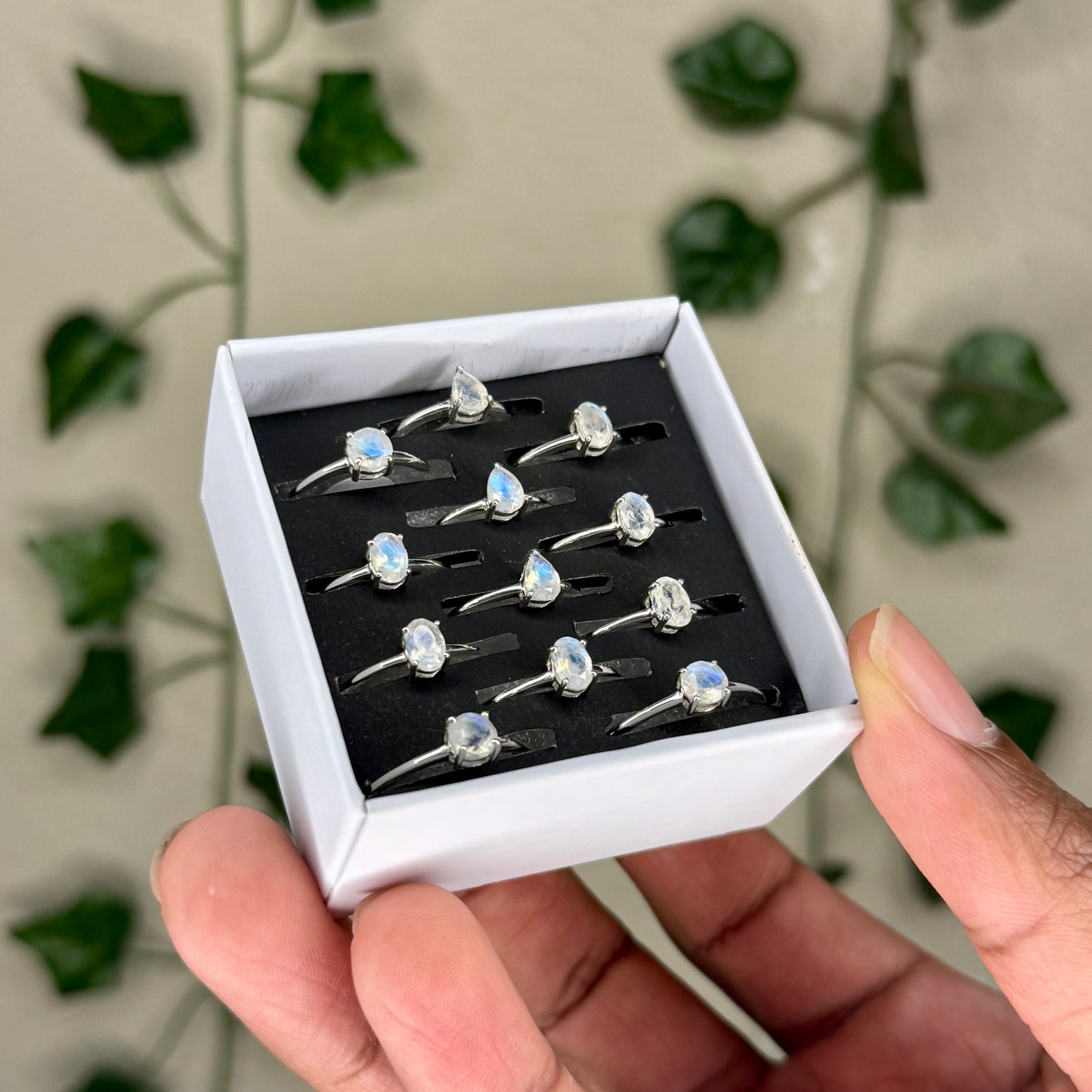 Faceted Moonstone Rings