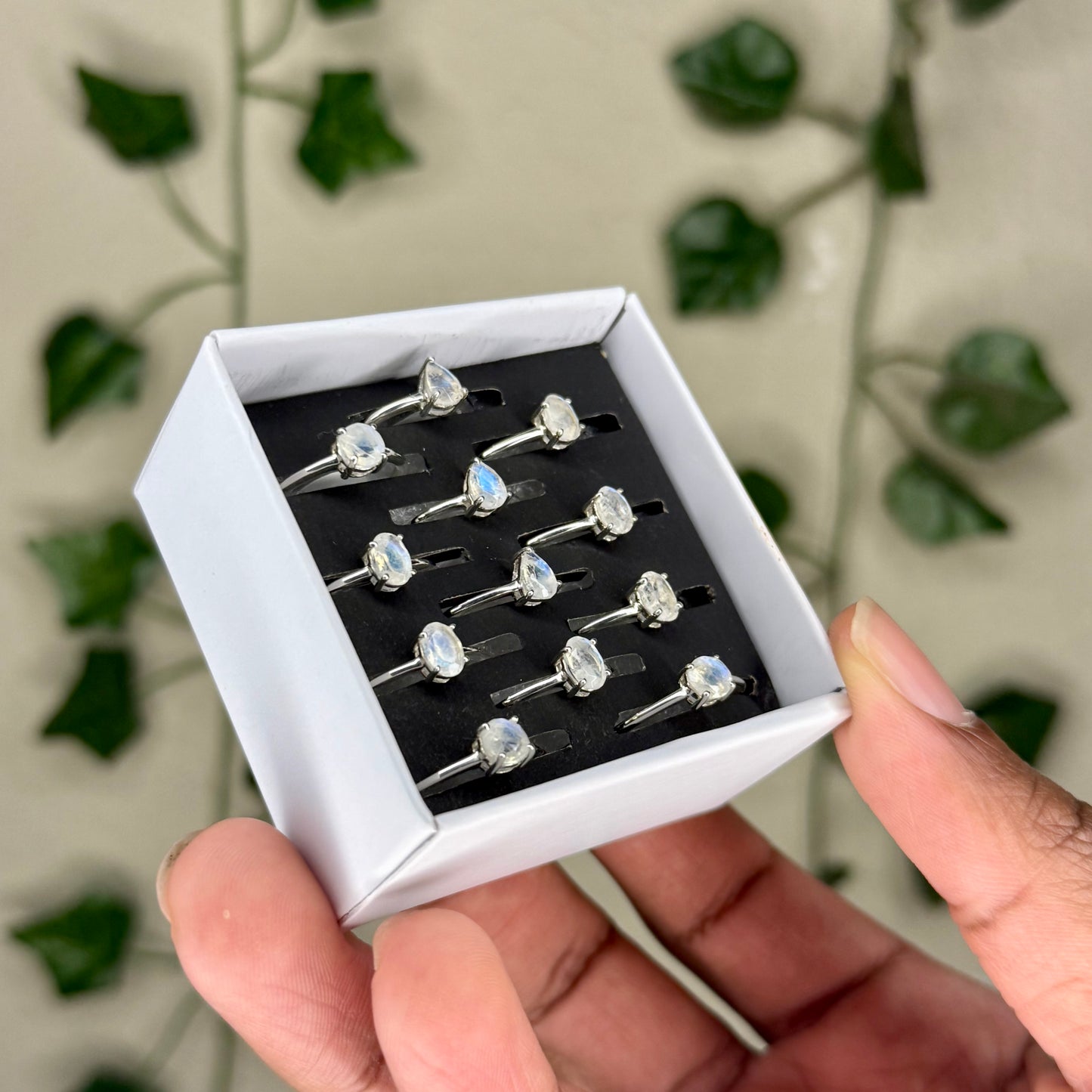 Faceted Moonstone Rings