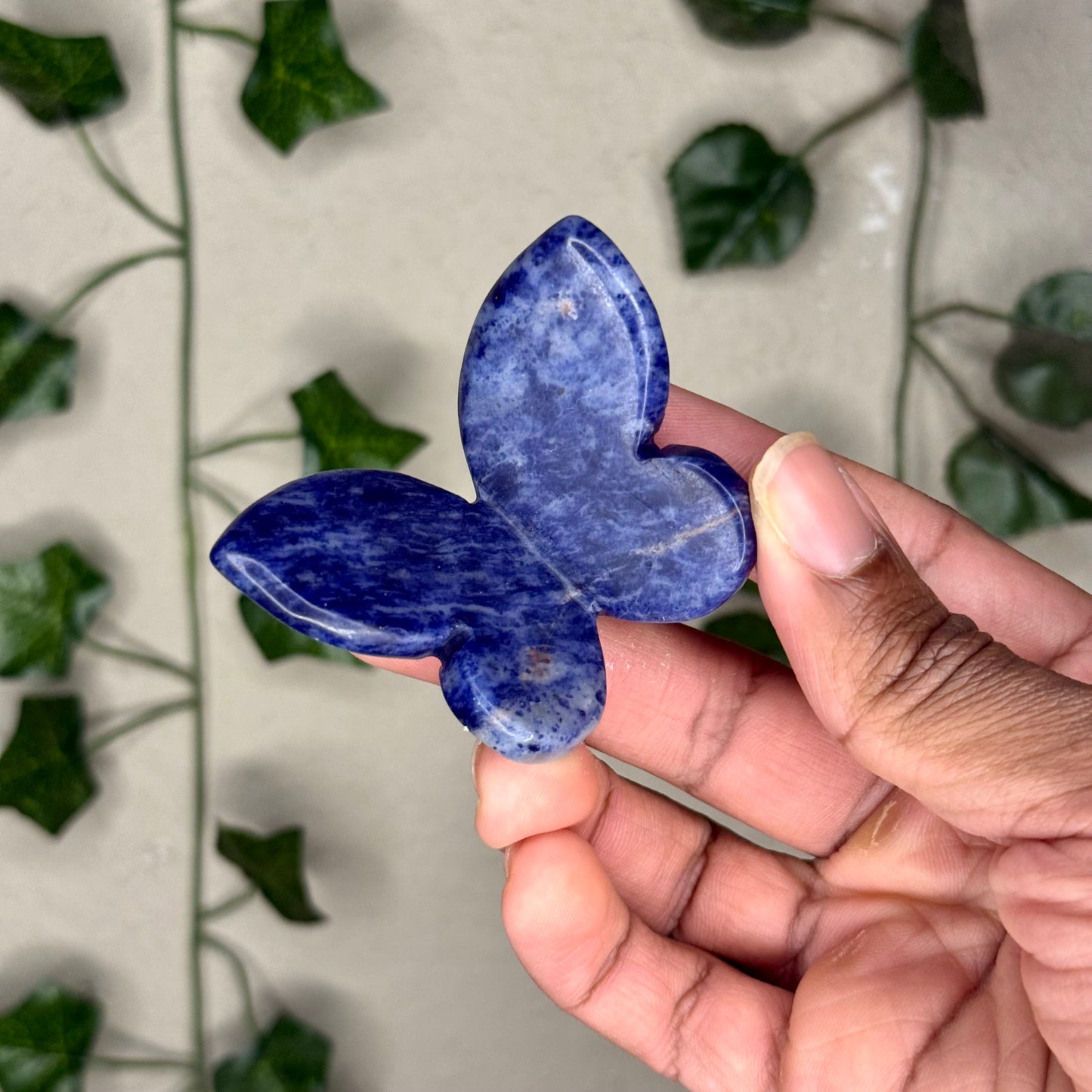 Sodalite 3D Butterflies