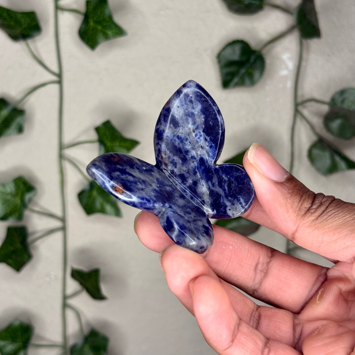 Sodalite 3D Butterflies