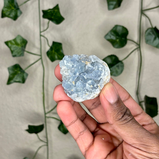 Celestite Cluster