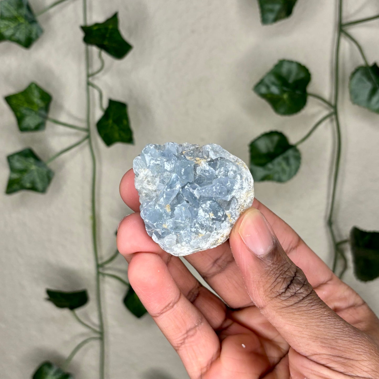 Celestite Cluster