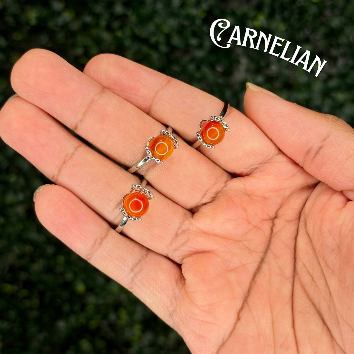 Fidget Rings