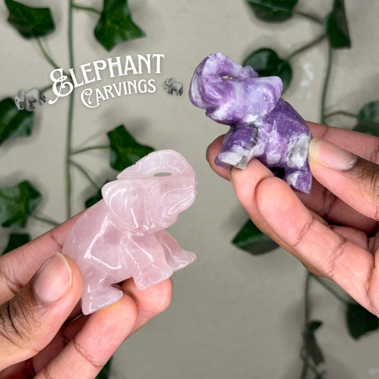 Elephant Carvings