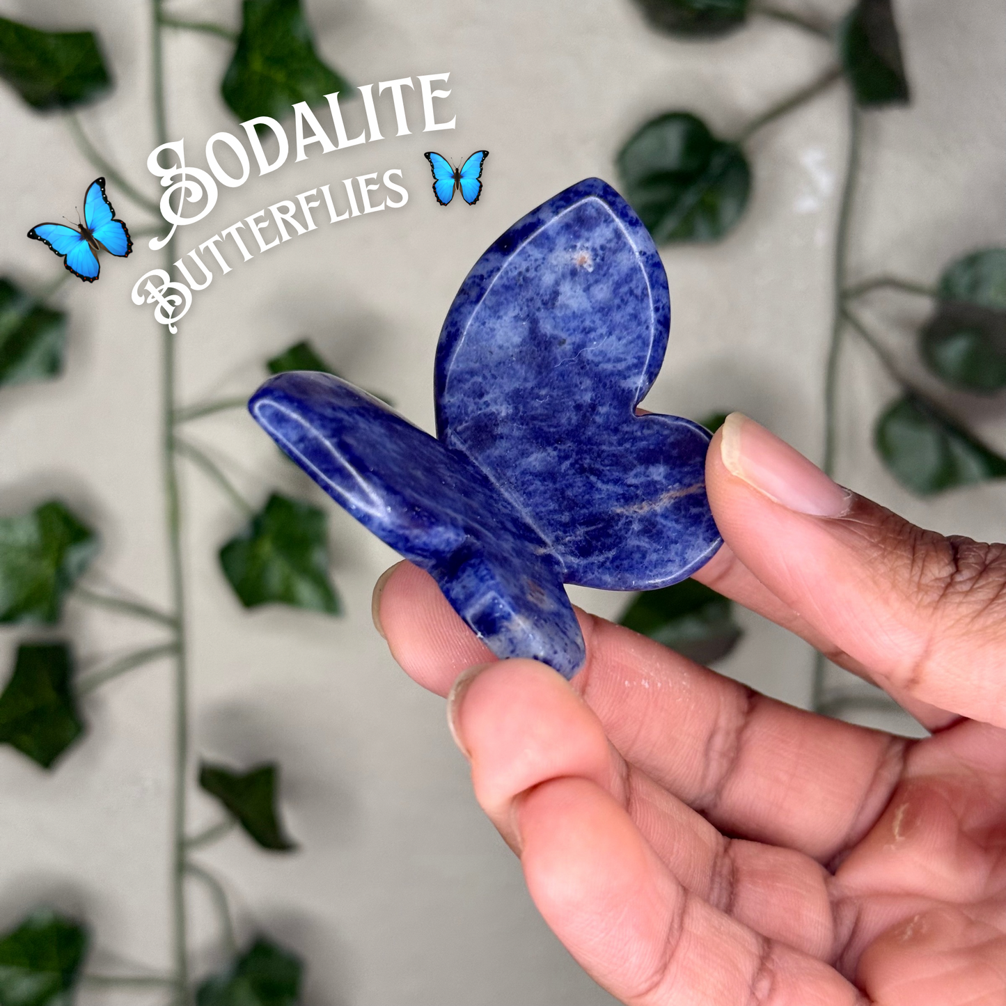 Sodalite 3D Butterflies