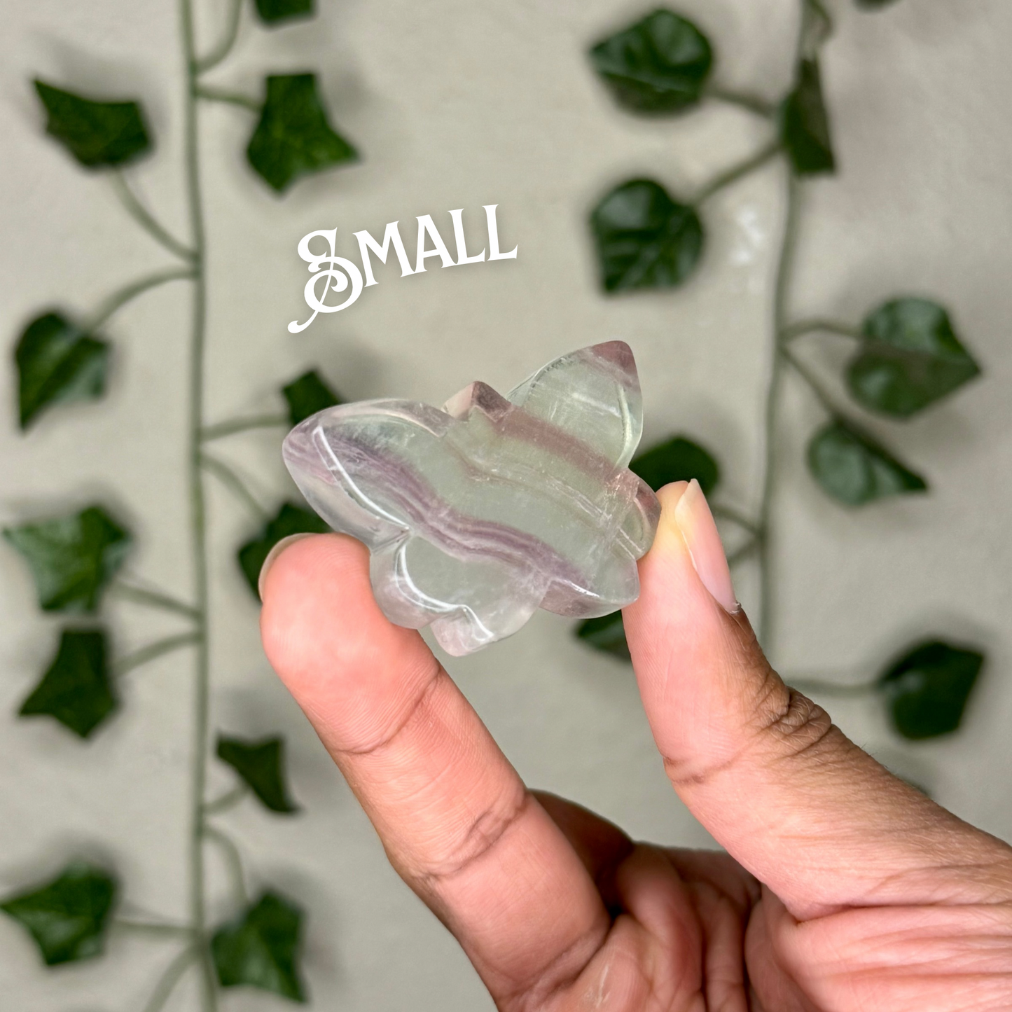 Candy Fluorite Butterflies