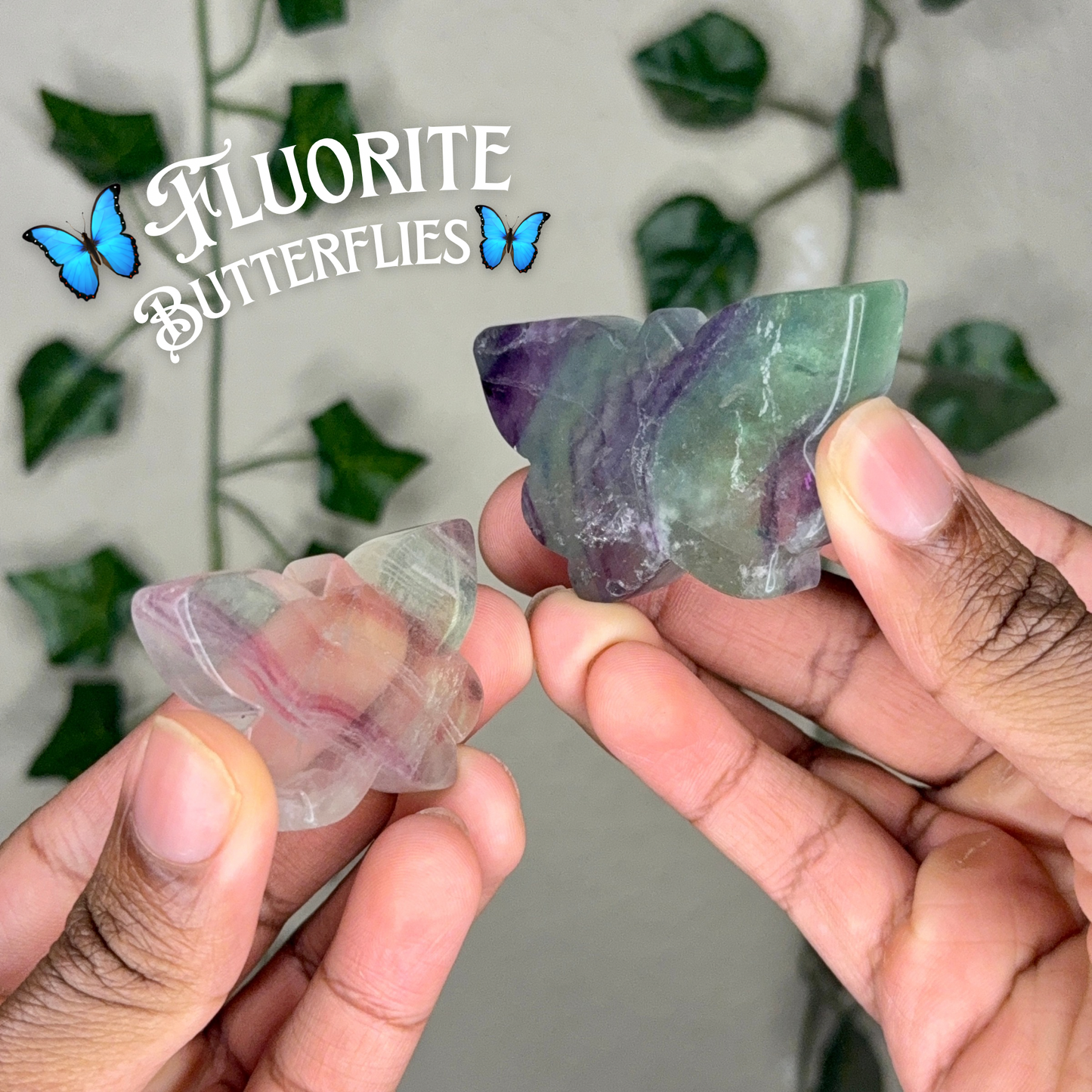 Candy Fluorite Butterflies