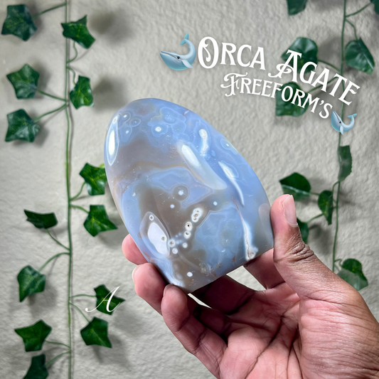 Orca Agate Freeforms
