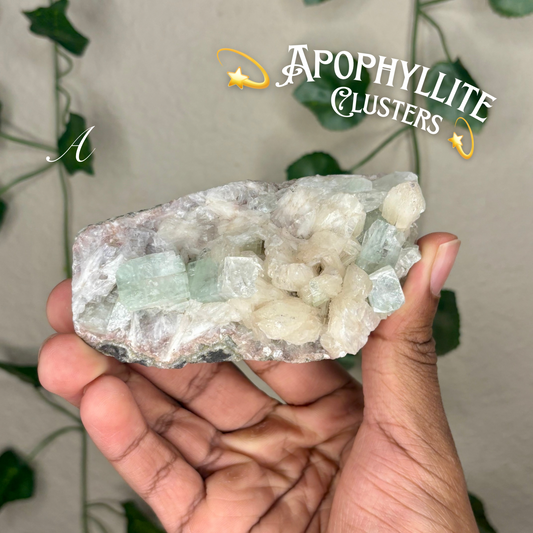 Apophyllite Clusters