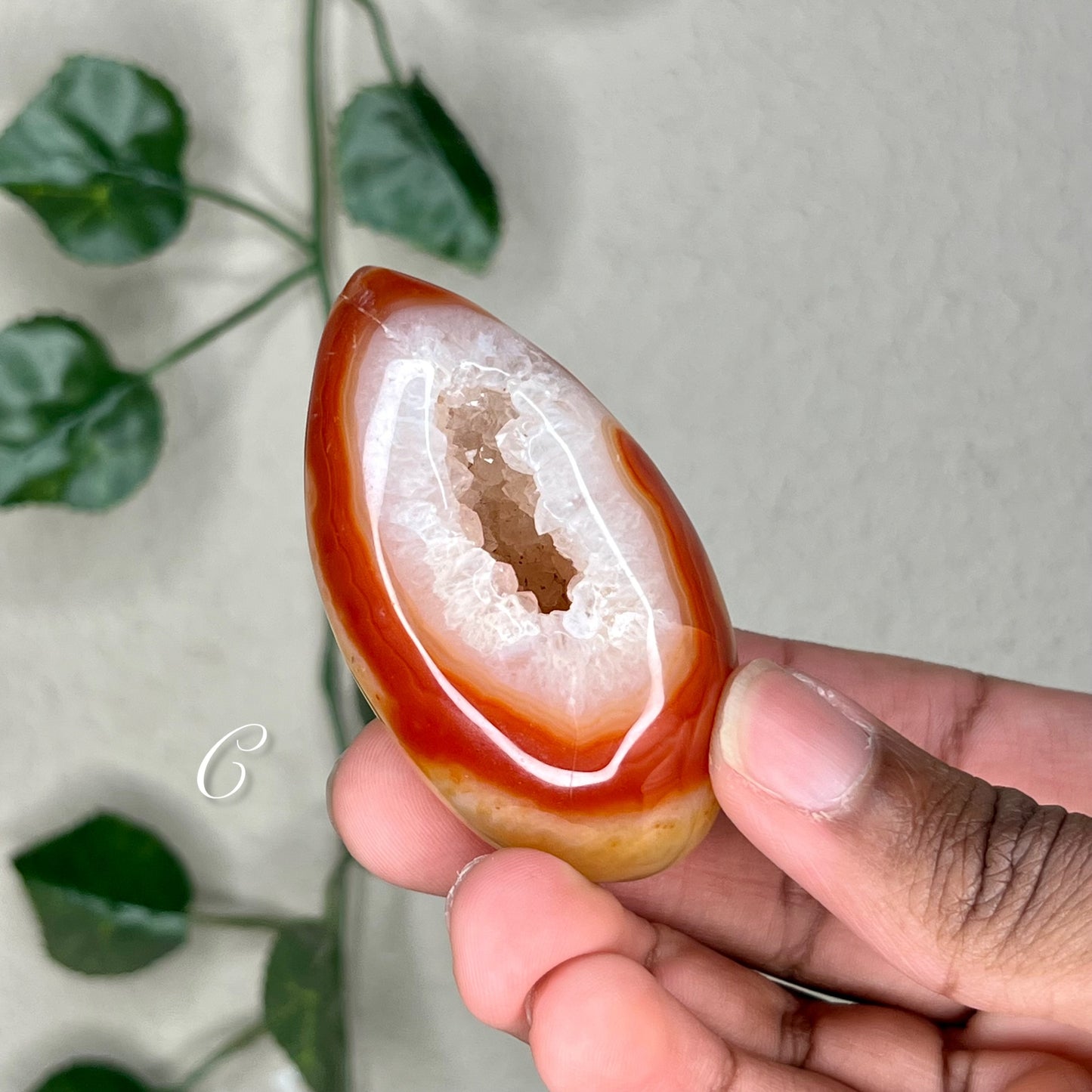 Carnelian Geode Eggs