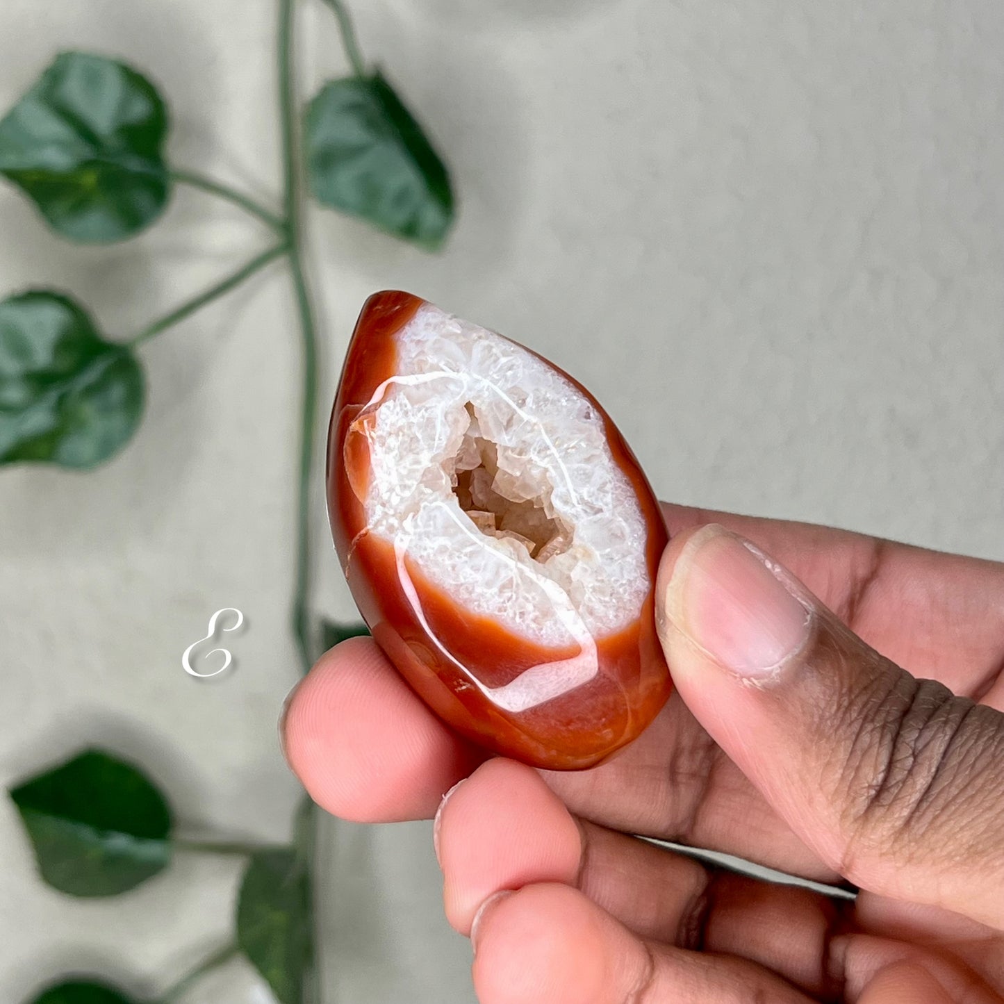 Carnelian Geode Eggs