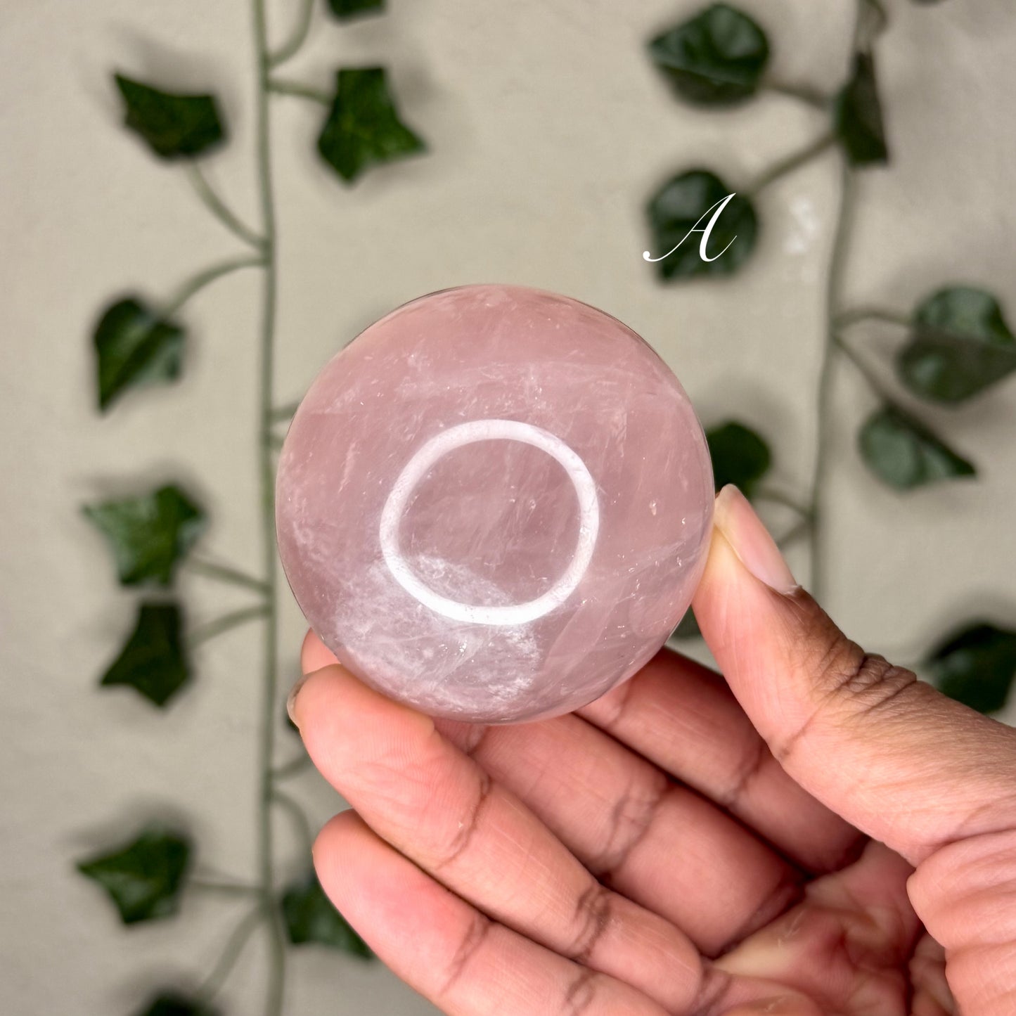 Star Rose Quartz Spheres