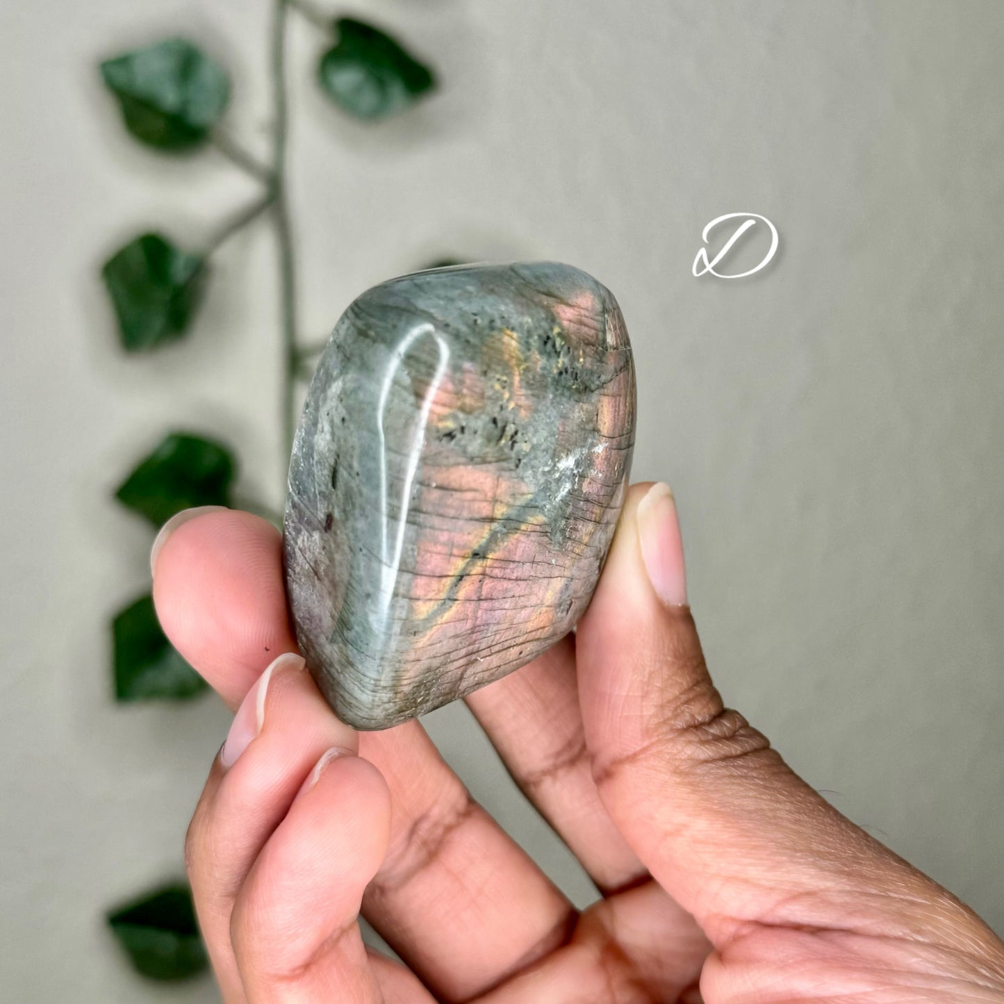 Labradorite Freeforms